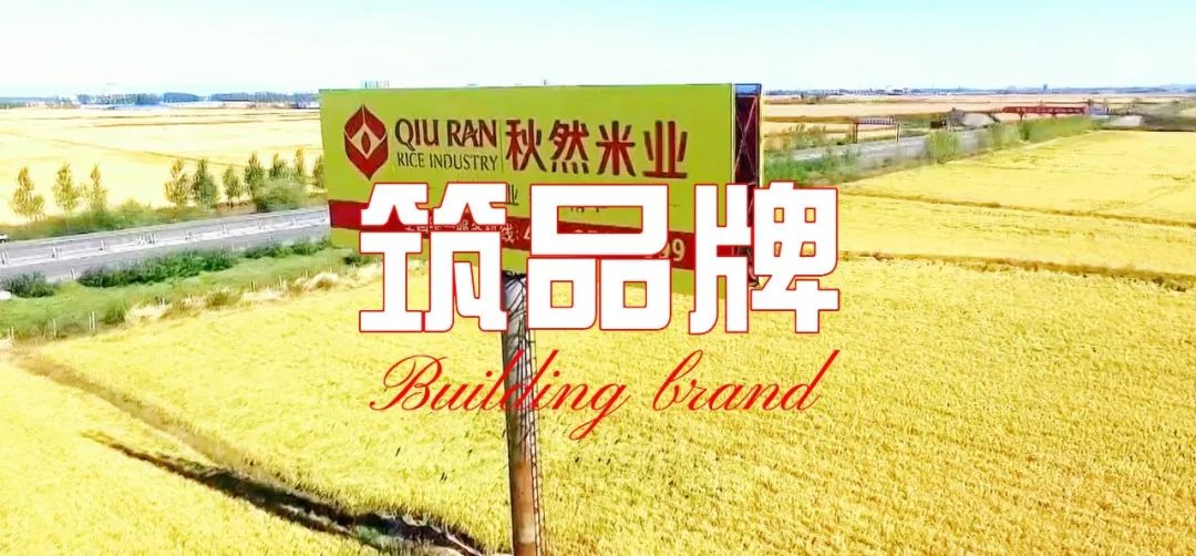 微信图片_20221118145131.jpg