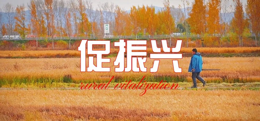 微信图片_20221118145144.jpg